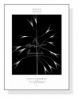 Wild Grasses III（キャシー ケネディ）|ポスター