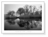 Prospect Park Morning（アンリ シルバーマン）【f】|ポスター