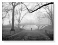 Gothic Bridge、 Cental Park、 NYC（アンリ シルバーマン）|ポスター