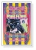 Pink Floyd 1967（デニス ローレン）|ポスター