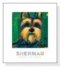 Sherman（カレン デュプレ）|ポスター