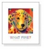 What Fire?（カレン デュプレ）|ポスター