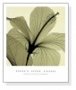 Hibiscus（スティーヴン マイヤーズ）|ポスター