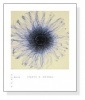 Dahlia（スティーヴン マイヤーズ）|ポスター