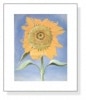 Sunflower New Mexico 1935（ジョージア オキーフ）|ポスター