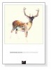Deer Wearing Gym Socks（カーマイン オリヴィア）|ポスター
