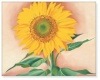Sunflower from Maggie 1937（ジョージア オキーフ）|ポスター