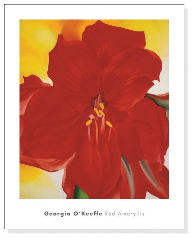Red Amaryllis、 1937（ジョージア オキーフ）