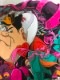 Mondo Disney Alice in Wonderland ふしぎの国のアリス 限定490枚　手書きナンバリング入り（ケン テイラー）