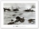 Normandie 6 June 1944 Magnum Photos 40th（ロバート キャパ）