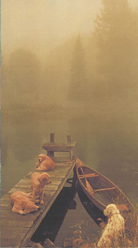 限定マット額装品/HERMES エルメス ブルース・ウェーバー アートポスター 限定マット額装品/HERMES【エルメス】ブルース ウェーバー Off The