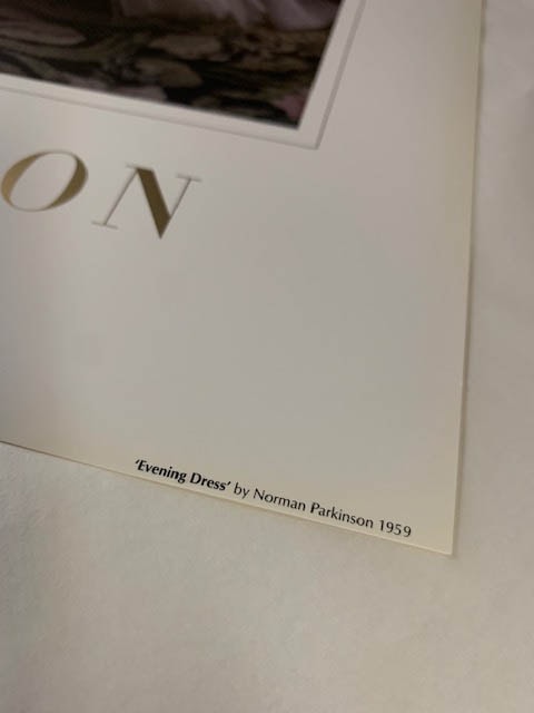 Evening Dress（ノーマン パーキンソン） ポスター販売のアズポスター