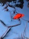 Querelle Blue（アンディ ウォーホル）