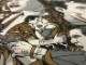 Grey Matter Art トゥルーロマンス Gold  限定300枚　手書きナンバリング入り（タイラー スタウト）