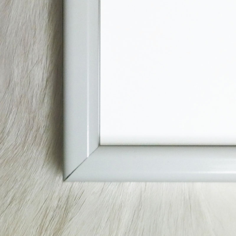 限定マット額装品/Gerhard Richter/ゲルハルト・リヒター