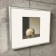 限定マット額装品/Gerhard Richter/ゲルハルト・リヒター/Schadel(548-1)