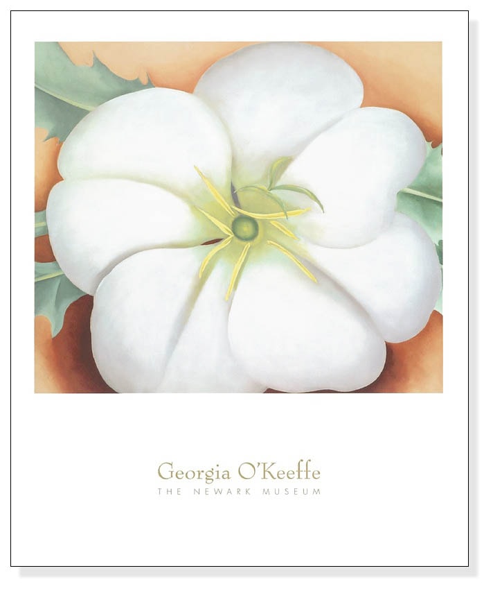 White Flower On Red Earth No 1 ジョージア オキーフ F ポスター販売のアズポスター ポスター アートポスター フレームも販売中