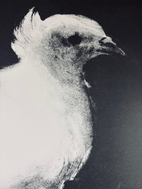 鳩 1949（パブロ ピカソ） ポスター販売のアズポスター｜ポスター