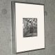 限定マット額装品/Gerhard Richter/ゲルハルト・リヒター/14.Feb.1945(881-1)（ゲルハルト・リヒター）