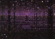 限定マット額装品/草間彌生　/ Infinity Mirror Room (Purple)（クサマヤヨイ）