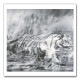 Tiger 1965  限定500枚　証明書付（ゲルハルト リヒター）