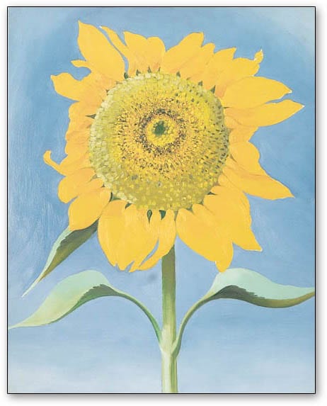 Sunflower New Mexico 1935（ジョージア オキーフ） Sunflower New Mexico 1935（ジョージア オキーフ） ポスター