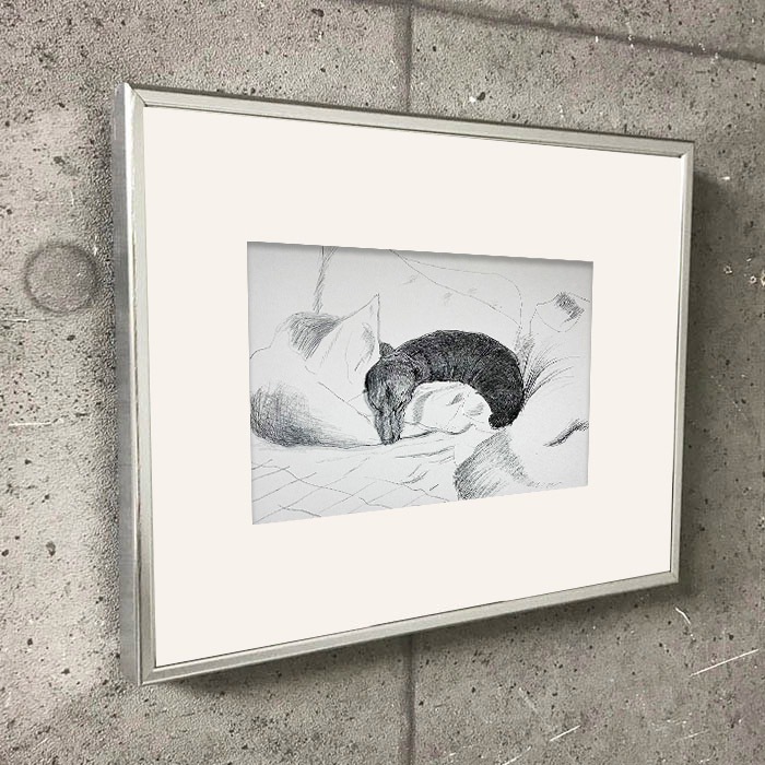 DAVID HOCKNEY/額装作品 DAVID HOCKNEY/額装作品 - 版画