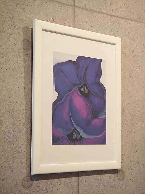 Black and Purple Petunias/オキーフ/ポスター Black and Purple Petunias/オキーフ/ポスター Black and Purple