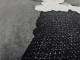 限定特殊マット額装品/シャネル CHANEL The Little Black Jacket　Natalia Vodianova