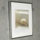 限定マット額装品/Gerhard Richter/ゲルハルト・リヒター/Skull 1983