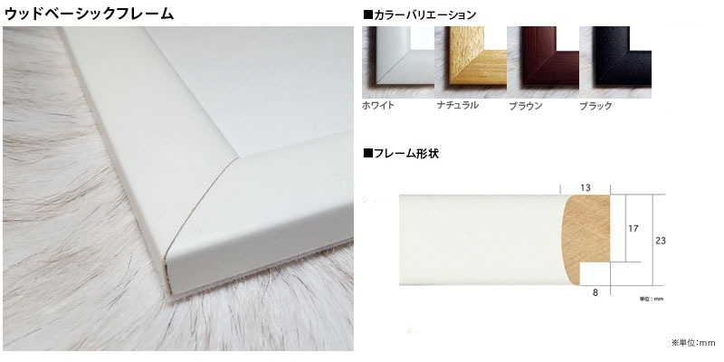 限定額装品！/ラルフローレン ラグビー/非売品フライヤー