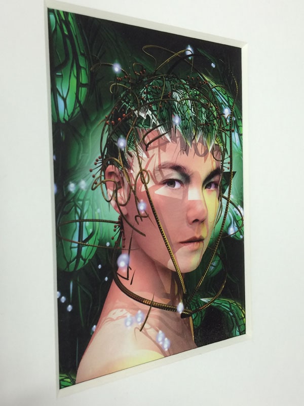 額装品/Bjork（ビョーク）/Bachelorette 1997年（ビョーク） ポスター