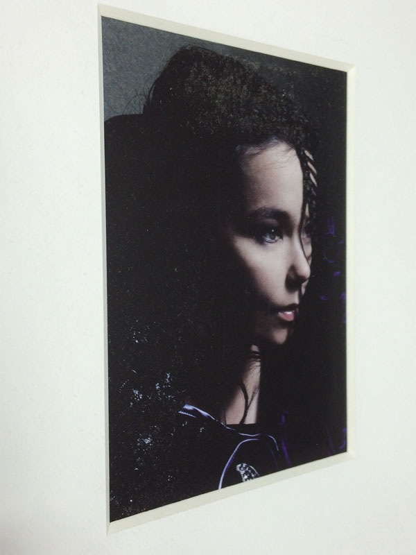 額装品/Bjork（ビョーク）/Warren Du Preez2004年（ビョーク