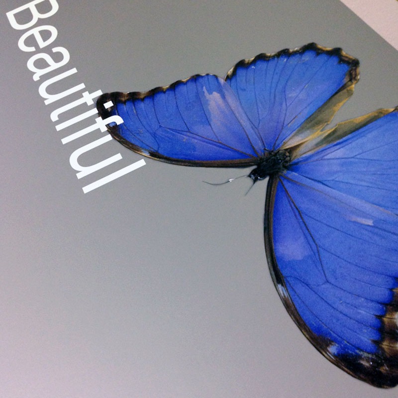 Beautiful Inside My Head Forever（ダミアン ハースト） ポスター販売