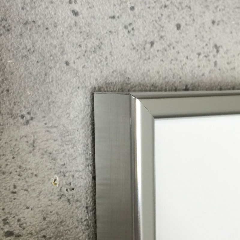 額装品/ブルースウェーバー/Larissa and Extra