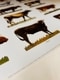 Cows（アーティスト不明）