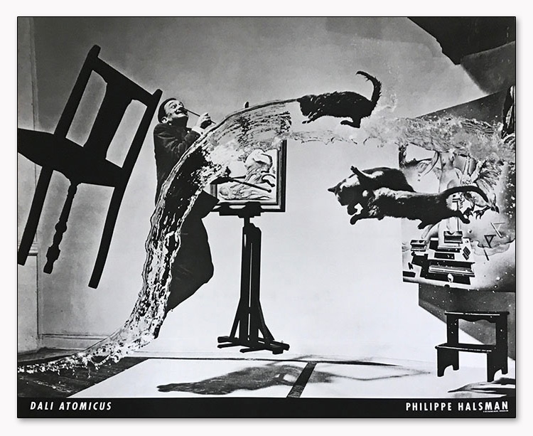 Dali Atomicus（フィリップ ハルスマン） ポスター販売のアズポスター 