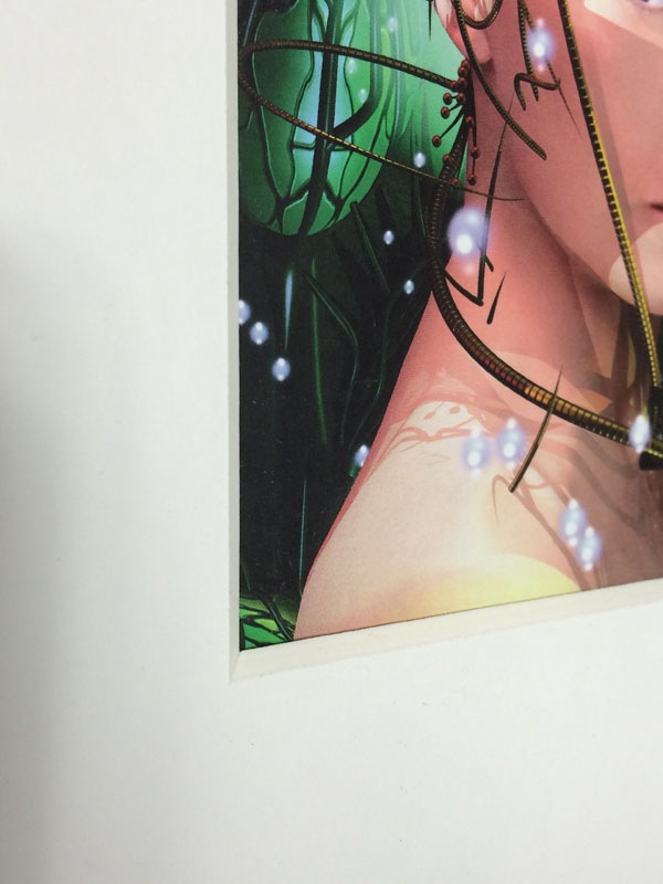 額装品/Bjork（ビョーク）/Bachelorette 1997年（ビョーク） ポスター