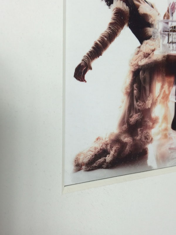 額装品/Bjork（ビョーク）/Nick Night 2001年（ビョーク） ポスター