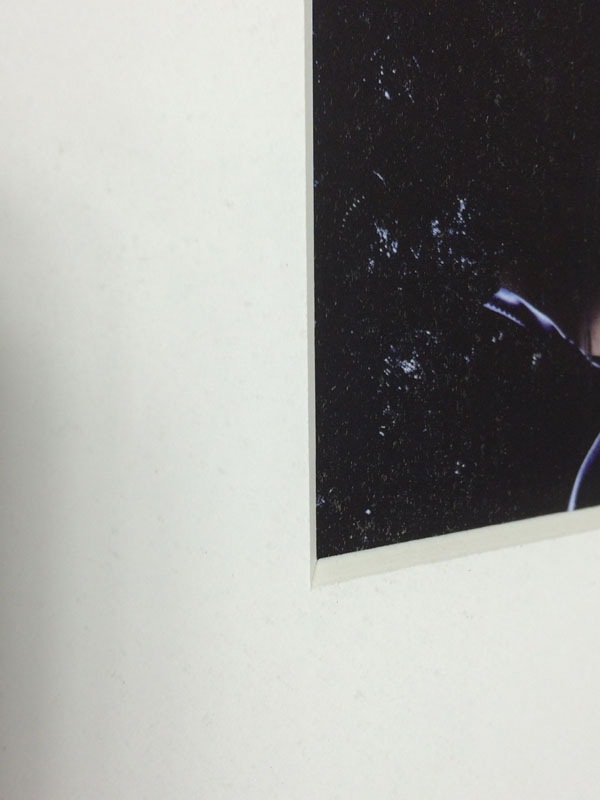 額装品/Bjork（ビョーク）/Warren Du Preez2004年（ビョーク