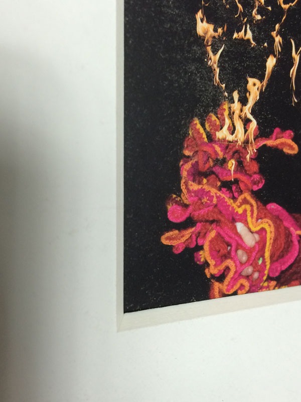 額装品/Bjork（ビョーク）/Volta 2007年（ビョーク） ポスター販売の