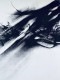 Ornitoptero numero 545（フェルナンド ゾベル）