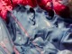 Fruitful(Large) Fondazione Prada　限定1928（ダミアン ハースト）