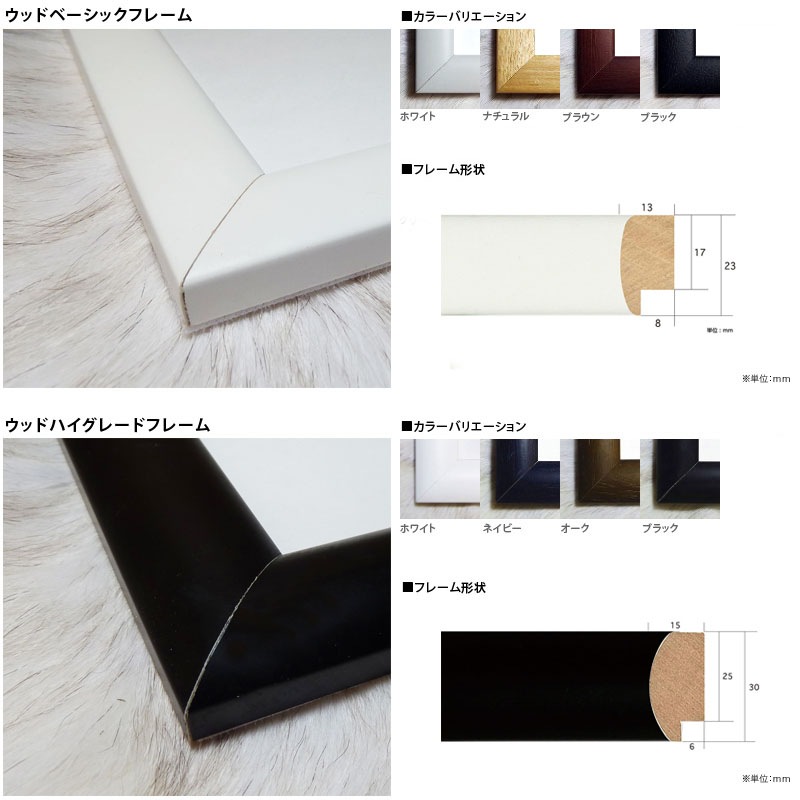 schriftzug am bauhaus dessau（バウハウス） ポスター販売のアズ