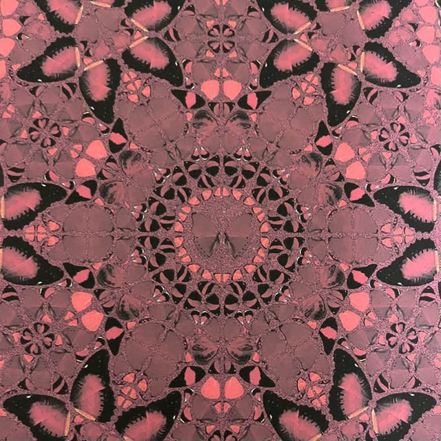 The Empresses H10-1 限定89枚手書ナンバリング＆ 証明書付（ダミアン