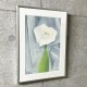 特別額装マット作品/アートポスター/Calla Lily on Grey 1928（ジョージア オキーフ）