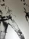 Sunday B Morning Double Elvis 限定3500枚　証明書付（アンディ ウォーホル）