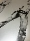 Sunday B Morning Double Elvis 限定3500枚　証明書付（アンディ ウォーホル）