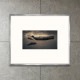 限定マット額装品Ashes and snow Gregory Colbert with Whale（グレゴリー コルベール）