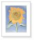 Sunflower New Mexico 1935（ジョージア オキーフ）